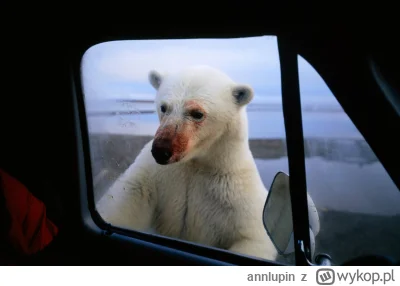 annlupin - śpicie jusz