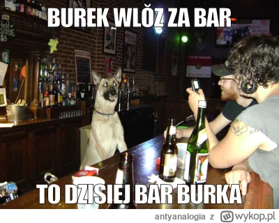 antyanalogia - Burek wlŏz za bar, to dzisiej bar Burka - #konserwacjamemow

Przed ren...