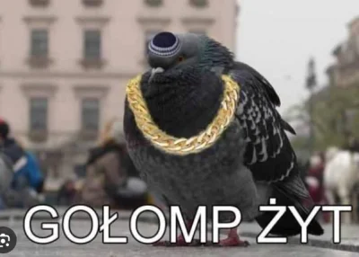 youngP - golomp mi prawie do pokoju wlecial
#gownowpis