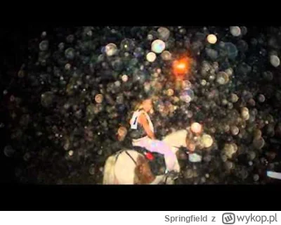 Springfield - co myślicie?