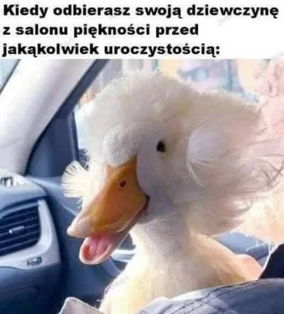 Vegasik69 - #heheszki ( ͡º ͜ʖ͡º)