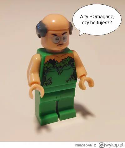 Image546 - #kononowicz  #szkolna17 #rafalkosno #lego #ekologia #patostreamy