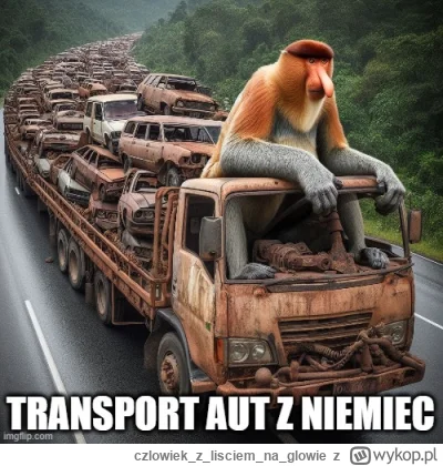 czlowiekzlisciemnaglowie - #humorobrazkowy #nosaczsundajski #motoryzacja #januszebizn...