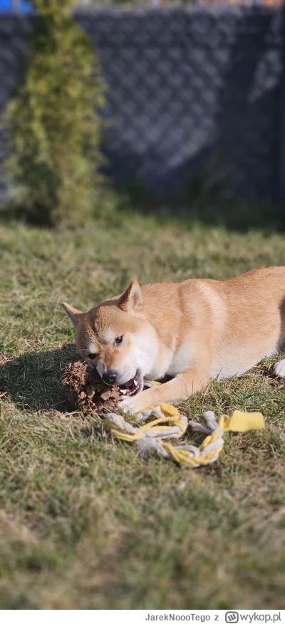 JarekNoooTego - @FreakingAwesome wzięli se na ogród xd