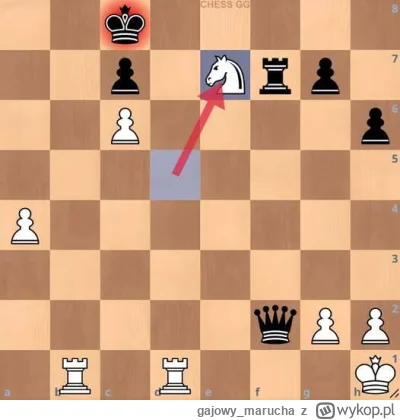 gajowy_marucha - Dobre ( ͡° ͜ʖ ͡°) #szachy