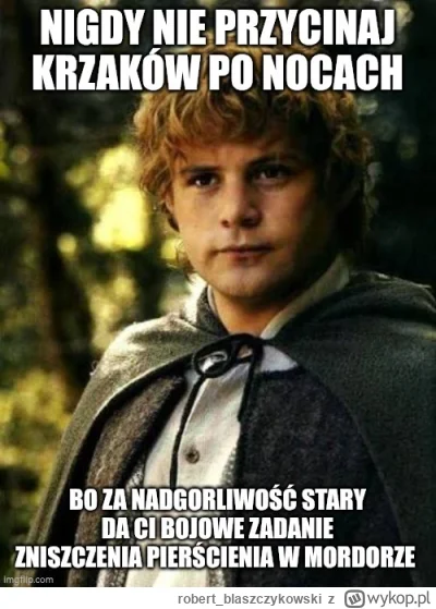 robert_blaszczykowski - #wladcapierscieni