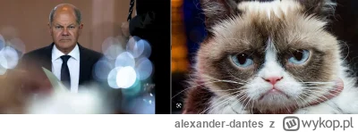 alexander-dantes - Hmmmm...

#polityka #grumpy #scholz #cat #kot #kotki #animals #nie...