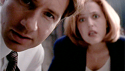 patryk-wuwuw - @youngP: