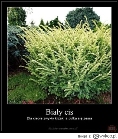 floojd - @Kopytnik_1: