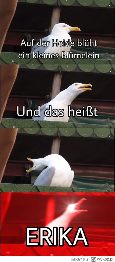 mlody18 - #mecz #euro2024