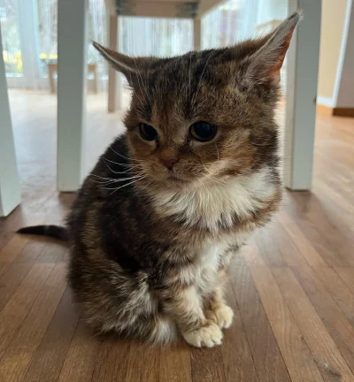 pogodnymis65 - @pogodnymis65