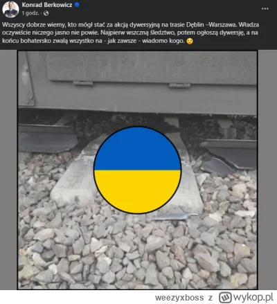 weezyxboss - Ja p------e przecież to trzeba mieć coś z garem XD #bekazkonfederacji #k...