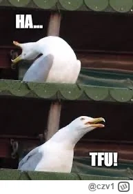 czv1 - #primemma
Kupiłem przed chwilą PPV bo mi się nie chce skakać między scam rekla...