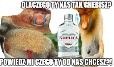 thority - @Merdarion_PL: