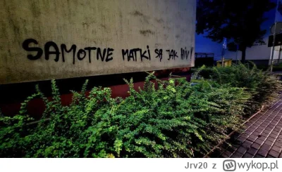 Jrv20 - Kompletnie się nie zgadzam z użytkownikiem @DrakkainenV. Samotne matki są szt...