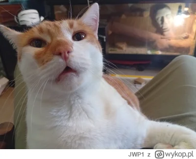 JWP1 - @Returned ( ͡º ͜ʖ͡º)