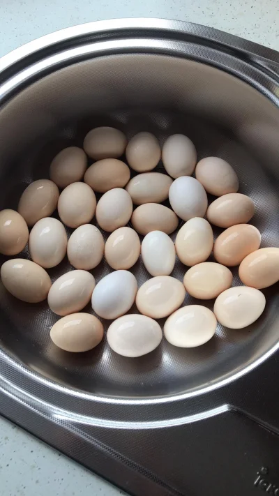 HuopWsiowy - Huop jajka umył co by było jadło na następny tydzień
#przegryw