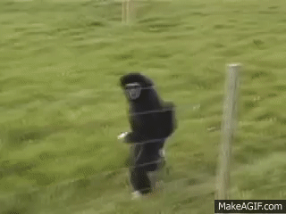 ZdumionyMariusz - #raportzpanstwasrodka

Kiedy poraz kolejny obsługa kmer tejst przeg...