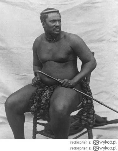 redorbiter - @zurawinazmusztarda: dodatkowo trzymany przez króla Zulusów