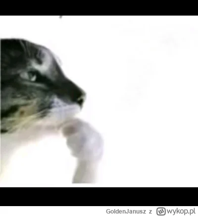 GoldenJanusz - ciekawe czy kiedyś w starożytnym Rzymie żył ktoś o imieniu Spierdokles...