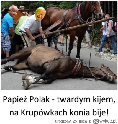 urodzony25lipca - #wykopobrazapapieza