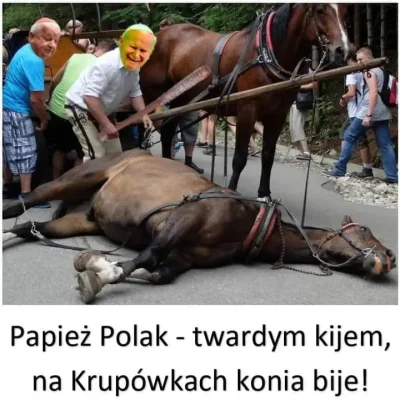 urodzony25lipca - #wykopobrazapapieza