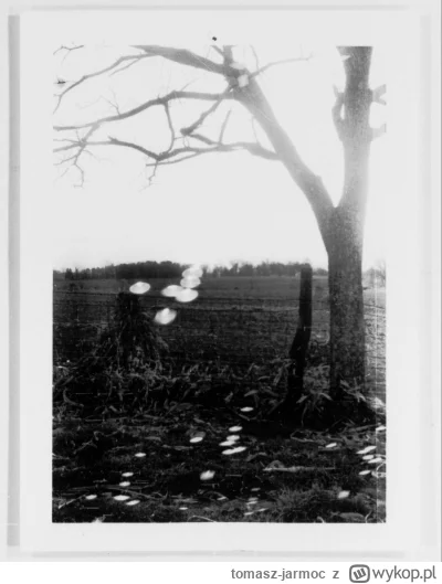 tomasz-jarmoc - @tomasz-jarmoc: Zdjęcie 22(ostatnie) - South Charleston, Ohio(USA) - ...