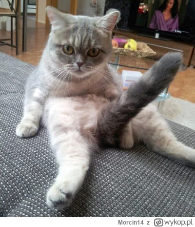 Morcin14 - @LatajacaPapryka512: Nawet "umaszczenie" podobne ( ͡º ͜ʖ͡º)