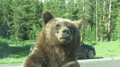 wfyokyga - Stop! Wysiadać i dawać całe bułku jakie macie