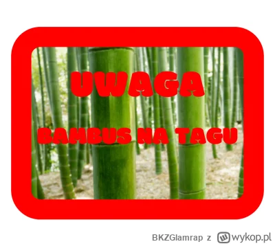 BKZGlamrap - ALARM BAMBUSOWY

#sebcel #stopcenzurzesebcelwersum