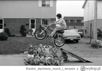 Kantorwymianymysliiwrazen - Oj.( ͡° ʖ̯ ͡°)
#ciekawefoto