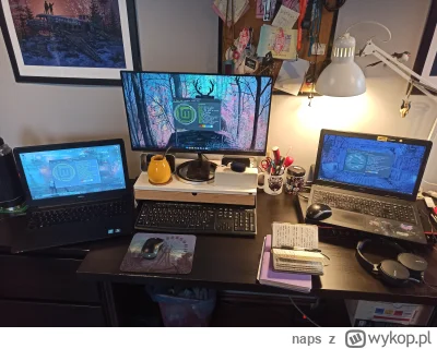 naps - Mircy, chyba przegiąłem z Linuksem. Widać po mnie?

Zaczęło się niewinnie - od...