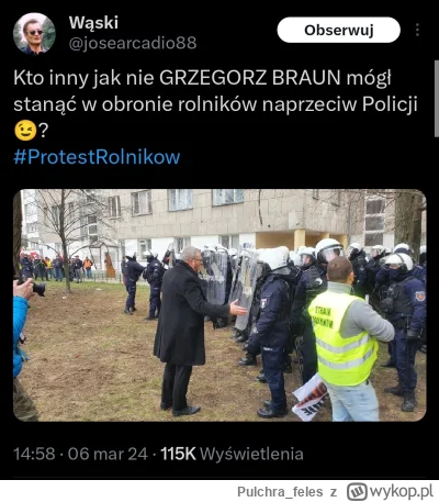 Pulchra_feles - Z całej tej afery najśmieszniejsze wypadła konfa, robiąca z siebie ob...