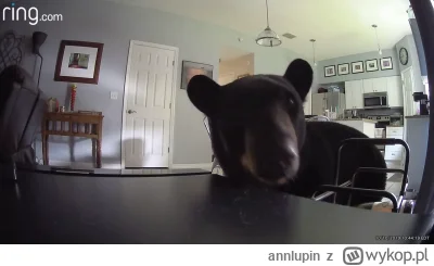 annlupin - ciekawe co tam na mirko