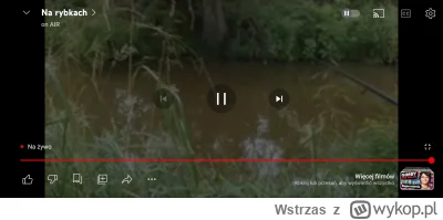 Wstrzas - Barnej na lajcie łowi ryby na zabagnionym strumyku przypominającym koryto A...