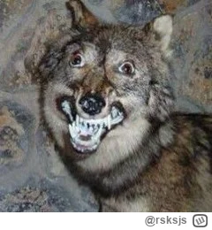 rsksjs - @Vanderwill: witamy wsród wilków au