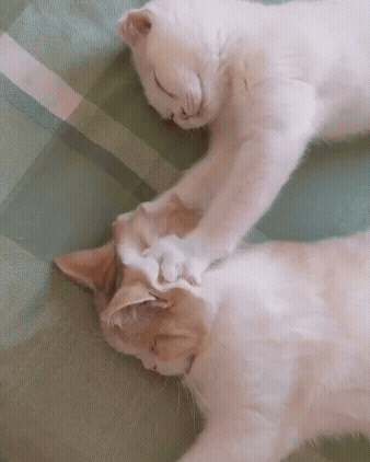 jestemtakizmeczony - @jestemtakizmeczony: