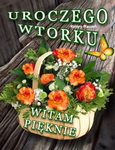 B.....f - #kartkanarano