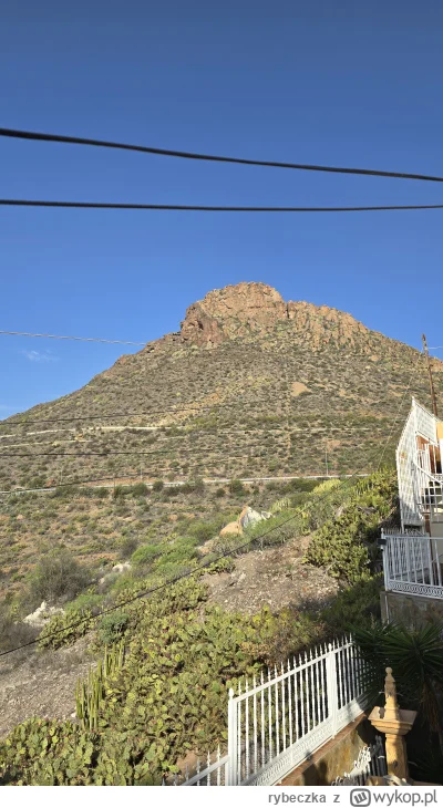 rybeczka - #dziendobry Wszystkim
Odpoczywamy sobie :)

Czy taki klimat zasługuje na p...