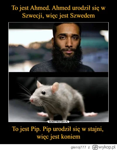 gieroj777 - ja tam żadnej tragedii nie widzę poza polityczną poprawnością
26-letni ob...