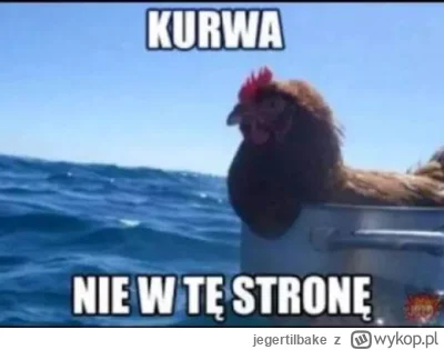 jegertilbake - @KucykMocy: tymczasem kuźma