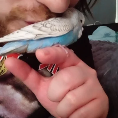 DarthRevan155 - #kononowicz #patostreamy

Jedni ćpają benzo, inni papugi. Pozdrawiam ...