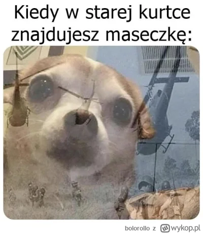 bolorollo - @luigi_pl
1. https://store.steampowered.com/app/427520/Factorio/?l=polish...