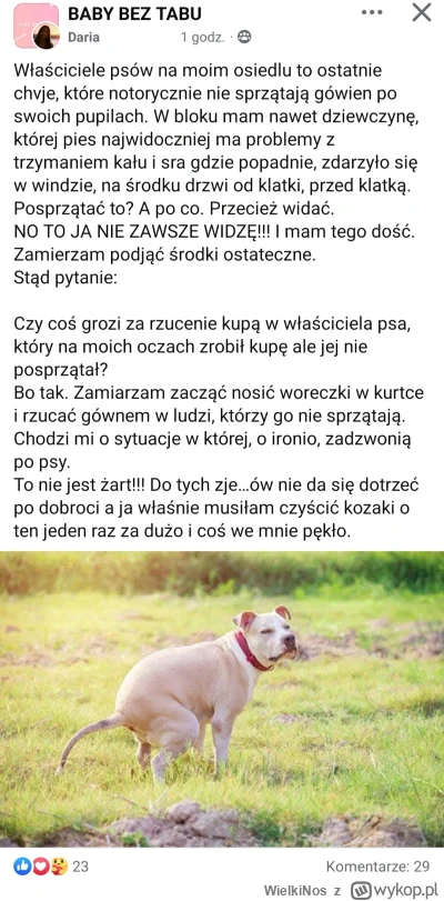 WielkiNos - @o__0 to wynika z tego, że w tym roku naprawdę jakby było 2x więcej kup n...