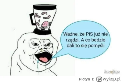 Plotyn - #polityka