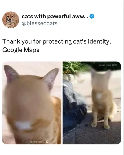 wybryk_natury - #zlodziejskiewybryki