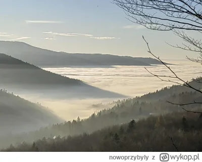 nowoprzybyly - Halo #bielskobiala wy tam żyjecie?
Poziom #smog sięgnął apogeum. 
To n...