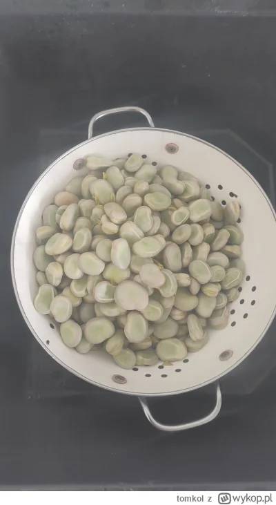 tomkol - #ilekilobobu 
9/
Darzbób!
Witajcie bobowe świry. Ugotowany właśnie 9 kilogra...