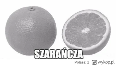Polasz - Gray fruit