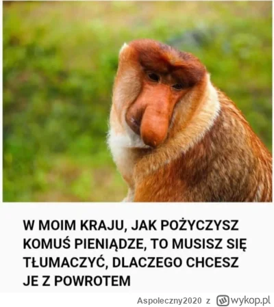 Aspoleczny2020 - #heheszki 
Typowo polskie. Zaznał ktoś?